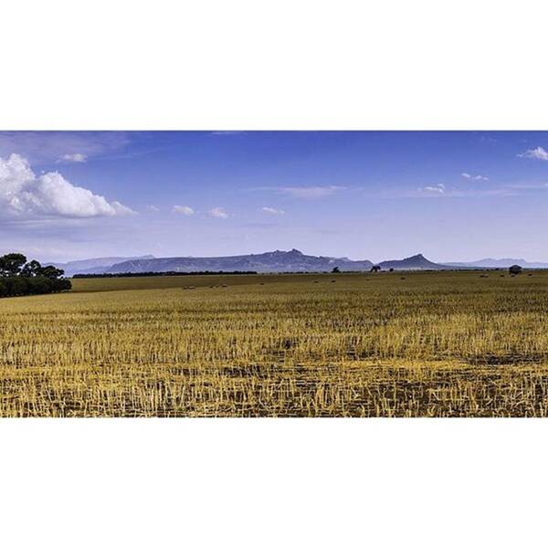 Mountains Art Print featuring the photograph Grampians From Taylor's Lake by Todd Williams