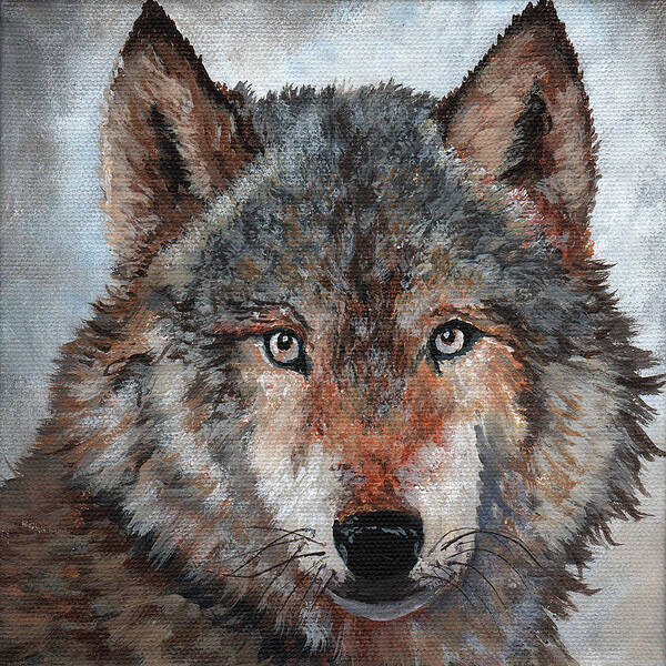 Timithy Art Print featuring the painting Gray Wolf by Timithy L Gordon