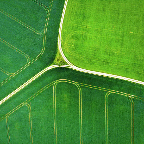 Green Art Print featuring the photograph Green geometric nature with lines aerial view by Matthias Hauser