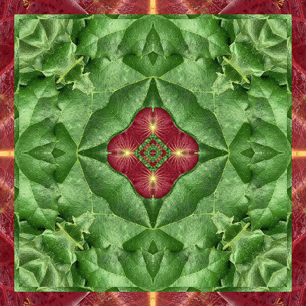 Mandalas Art Print featuring the photograph Green Machine by Bell And Todd