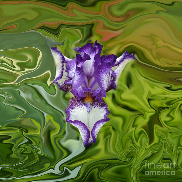Purple Iris Art Print featuring the photograph Groovy Purple Iris by Rebecca Margraf