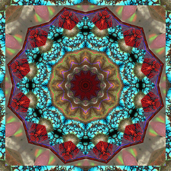 Prosperity Art Art Print featuring the photograph Healing Mandala 35 by Bell And Todd