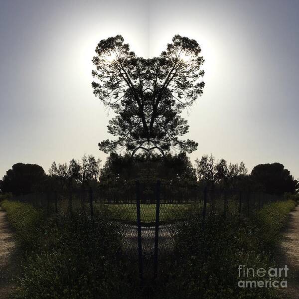Photography Art Print featuring the photograph Heart Silhouette by Nora Boghossian