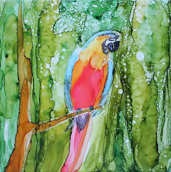 Parrot Art Print featuring the painting Hello Hello by Ruth Kamenev