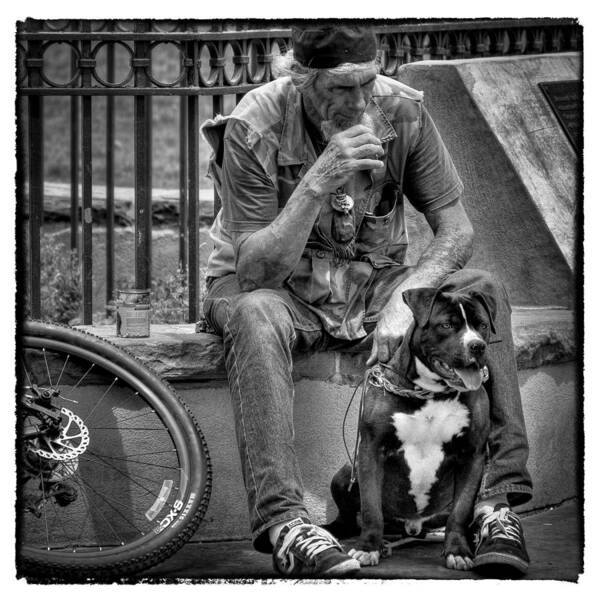 Dog Art Print featuring the photograph His Best Friend II by David Patterson