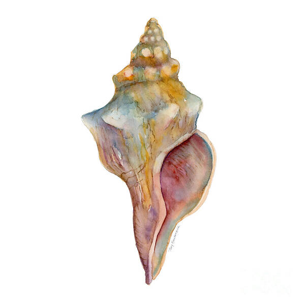Conch Shell Painting Art Print featuring the painting Horse Conch Shell by Amy Kirkpatrick