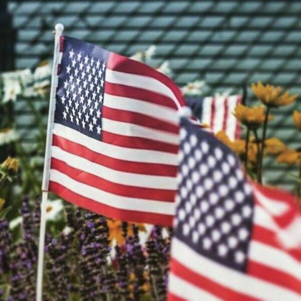Holiday Art Print featuring the photograph How Can It Almost Be The 4th Of July? by Sue Lyon-myrick Photography