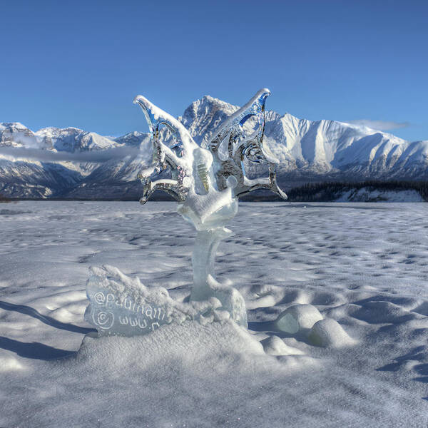 Alaska Art Print featuring the photograph Ice Butterfly by Fred Denner