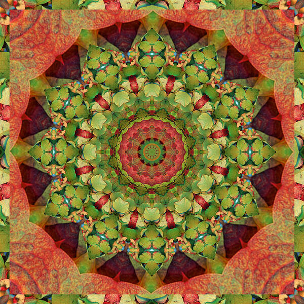 Mandalas Art Print featuring the photograph Illumination by Bell And Todd