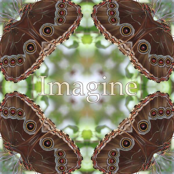 Abstract Art Art Print featuring the photograph Imagine by Mary Buck