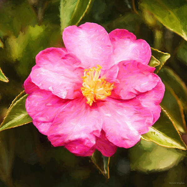 Wrighton Art Print featuring the photograph Impressionist Floral Pink Camelia by Michelle Wrighton