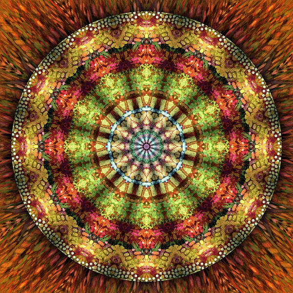 Recycled Music Mandalas Art Print featuring the digital art Indian Summer by Becky Titus