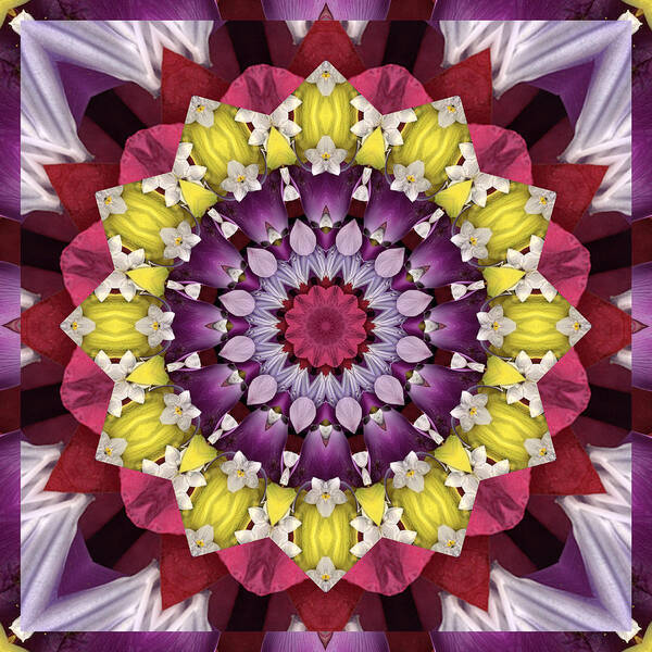 Mandalas Art Print featuring the photograph Infinity by Bell And Todd