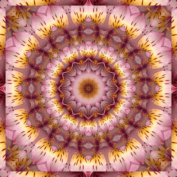Mandalas Art Print featuring the photograph Inspiration by Bell And Todd