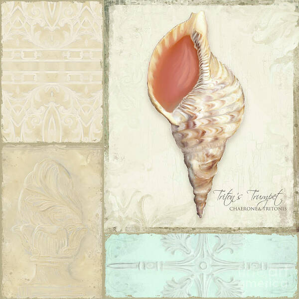 Tritons Trumpet Art Print featuring the painting Inspired Coast Collage - Triton's Trumpet Shell w Vintage Tile by Audrey Jeanne Roberts