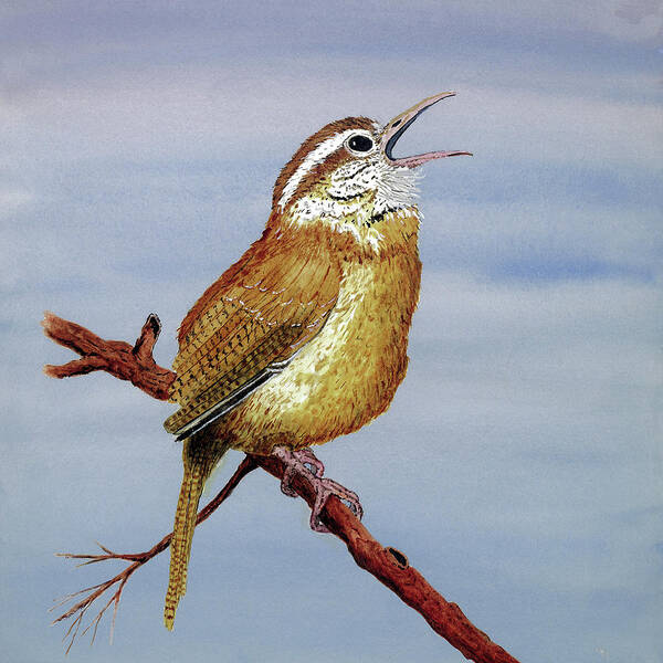Bird Wren Carolina Songbird Garden Thom Glace Art Print featuring the painting Irate Wren by Thom Glace