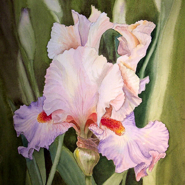 Iris Art Print featuring the painting Iris Flower by Irina Sztukowski