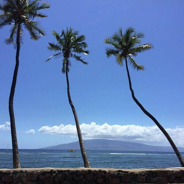 Maui Art Print featuring the photograph It's Aloha Friday!!! #maui #mauihawaii by Darice Machel McGuire