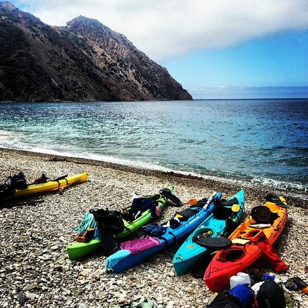 Catalina Art Print featuring the photograph #kayaking #camping And #spearfishing In by Grant Bowen