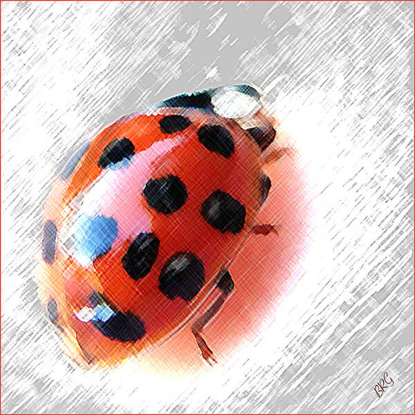 Ladybug Art Print featuring the photograph Ladybug Spectacular by Ben and Raisa Gertsberg