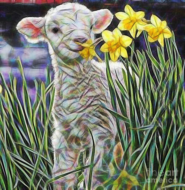 Lamb Art Print featuring the mixed media Lamb Collection by Marvin Blaine