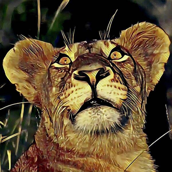 Lion Art Print featuring the photograph Lion looking up by Gini Moore