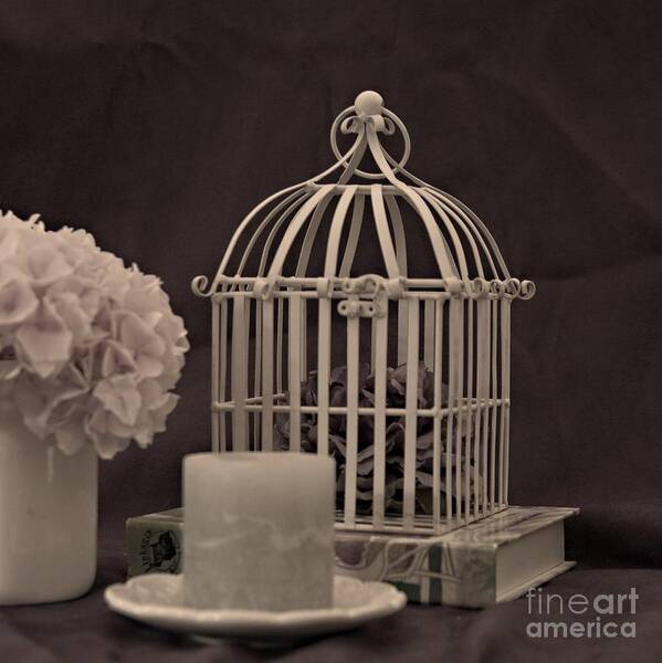 Cage Art Print featuring the photograph Locked In by Sherry Hallemeier