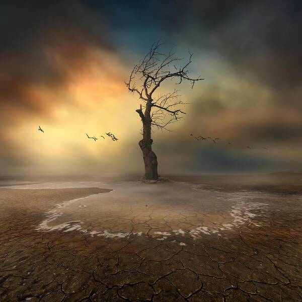 Landscape Art Print featuring the photograph Lonely by Piotr Krol (bax)