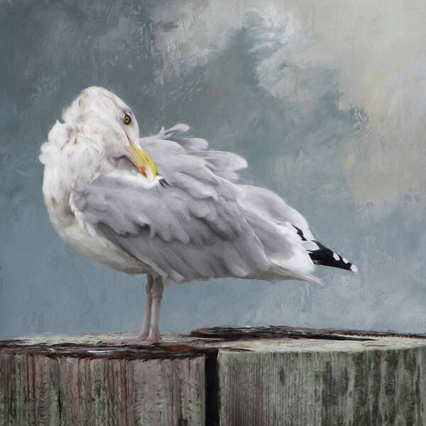 Bird Art Print featuring the photograph Looking Back square by Karen Lynch