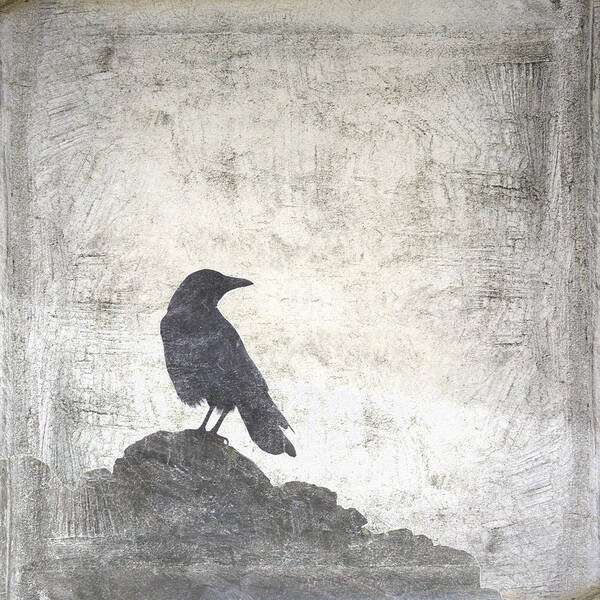 Crow Art Print featuring the photograph Looking Seaward by Carol Leigh