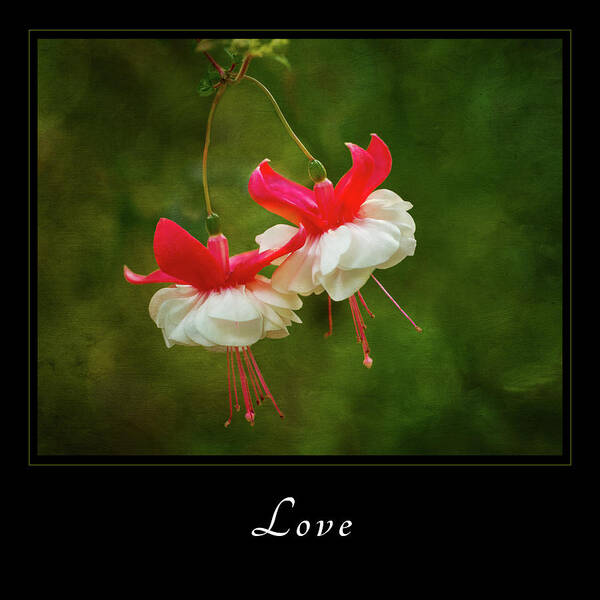 Inspiration Art Print featuring the photograph Love 1 by Mary Jo Allen