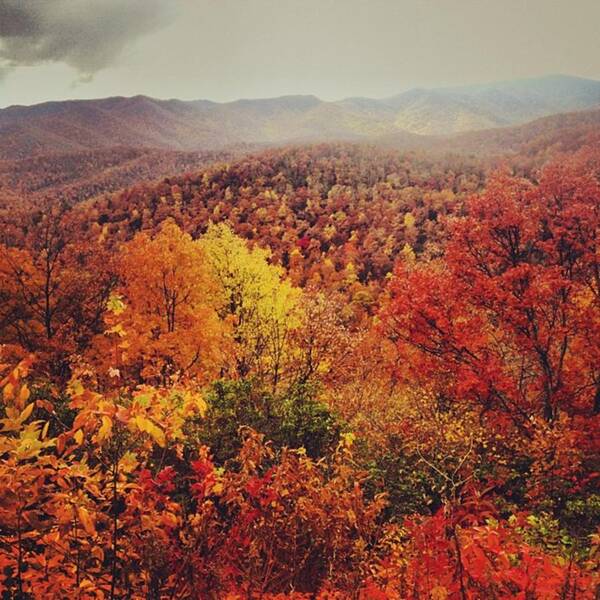 Fall Art Print featuring the photograph Blue Ridge Parkway by Lauren Greer
