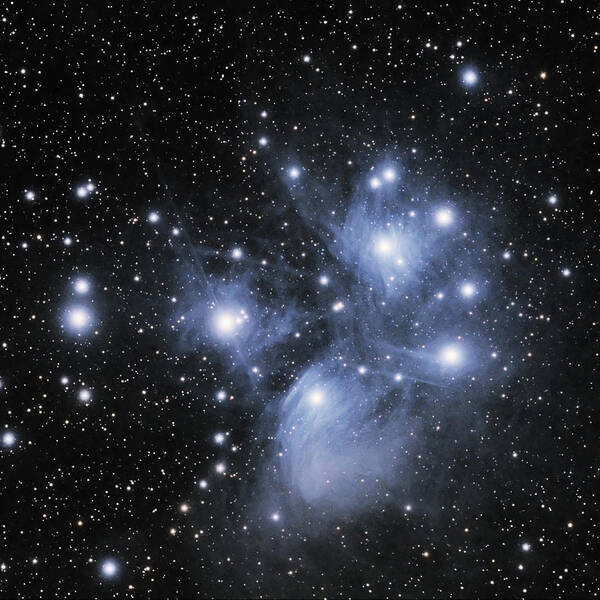 Cluster Art Print featuring the photograph M45--the Pleiades by Alan Vance Ley