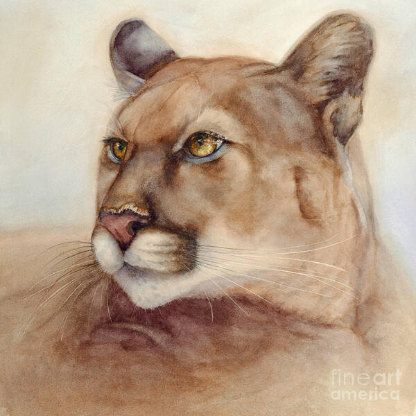 Cougar Art Print featuring the painting Male Cougar by Bonnie Rinier