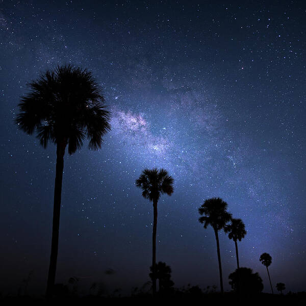 Milky Way Art Print featuring the photograph Milky Way Squared by Mark Andrew Thomas