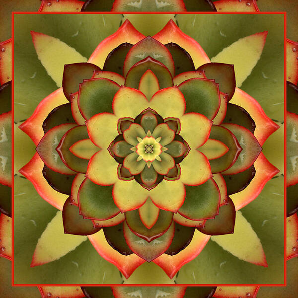 Mandalas Art Print featuring the photograph Mother Lotus by Bell And Todd