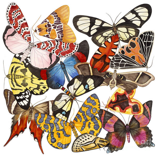 Moths Art Print featuring the painting Moths and More Moths by Lucy Arnold