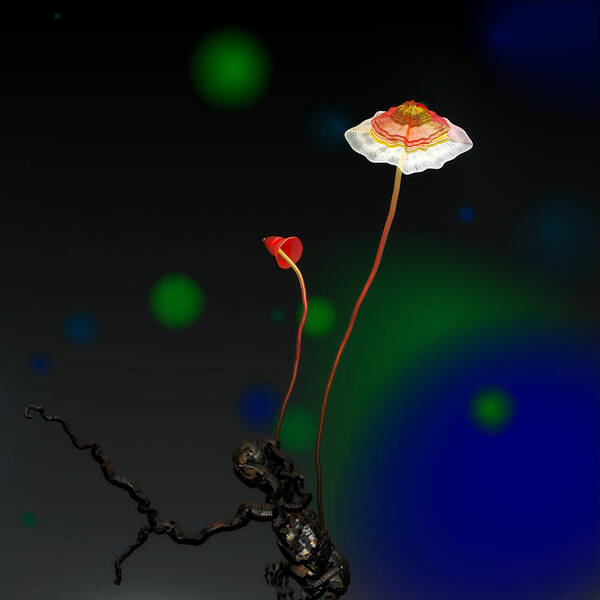 Mushroom Art Print featuring the digital art Mushroom 1 by GuoJun Pan