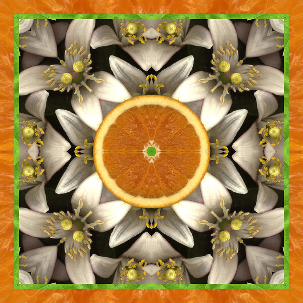 Yoga Art Art Print featuring the photograph Neroli by Bell And Todd