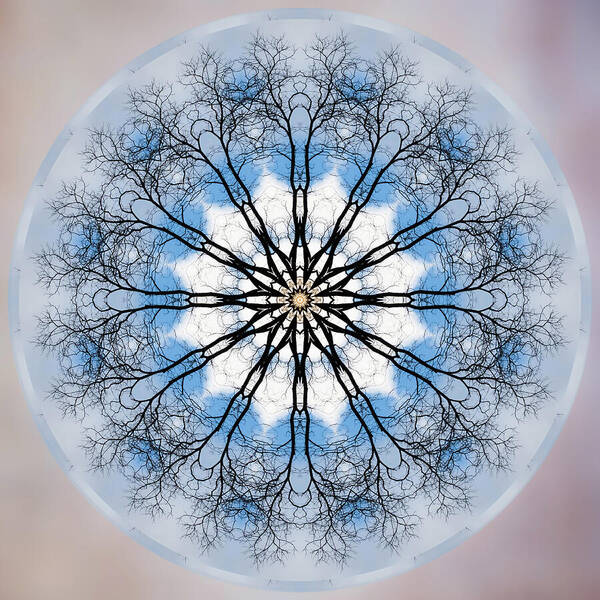 Circle Art Print featuring the photograph New Year Mandala - by Julie Weber