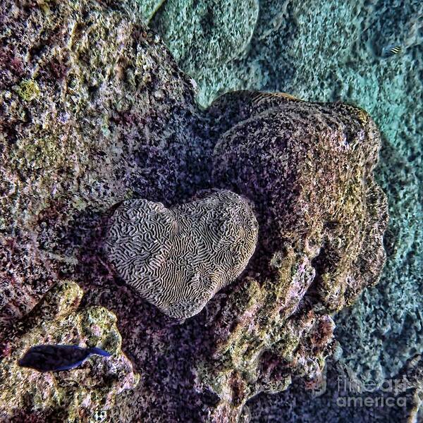 Heart Art Print featuring the photograph Ocean love by Peggy Hughes