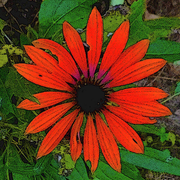 Flower Art Print featuring the digital art Orange Daisy by Rod Whyte