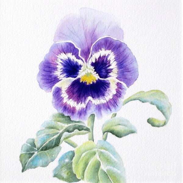 Pansy Art Print featuring the painting Pansy by Deborah Ronglien