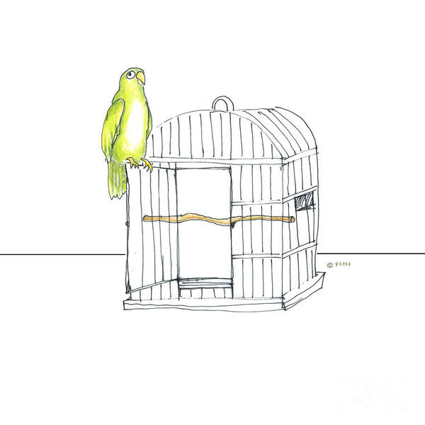 Illustration Art Print featuring the drawing Parrot And Cage by Fran Henig