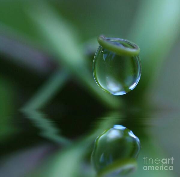 Beautiful Art Print featuring the photograph Passion Drop by Kym Clarke