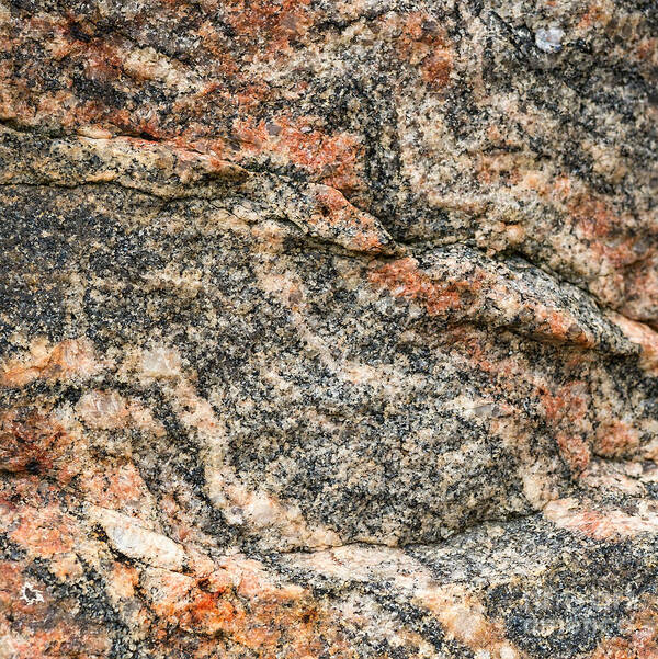 Abstract Art Print featuring the photograph Pattern in a granite rock - square format by Les Palenik