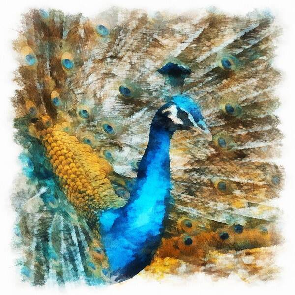 Bird Art Print featuring the digital art Peacock by Charmaine Zoe