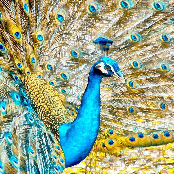 Bird Art Print featuring the digital art Peacock Paradise by Charmaine Zoe
