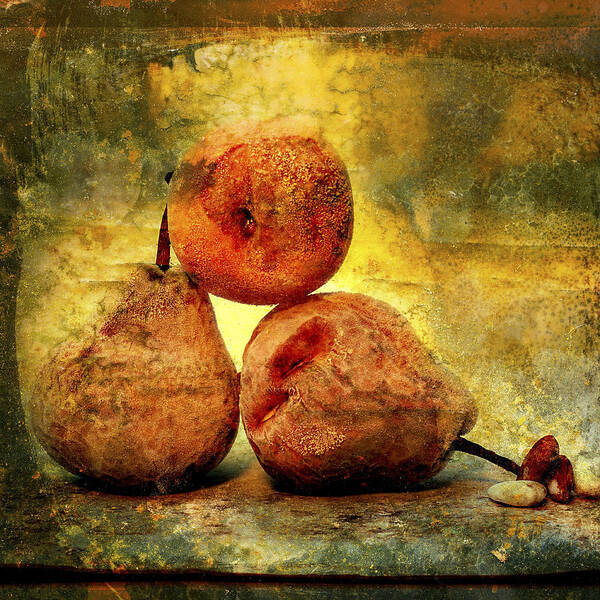 Aging Process Art Print featuring the photograph Pears by Bernard Jaubert