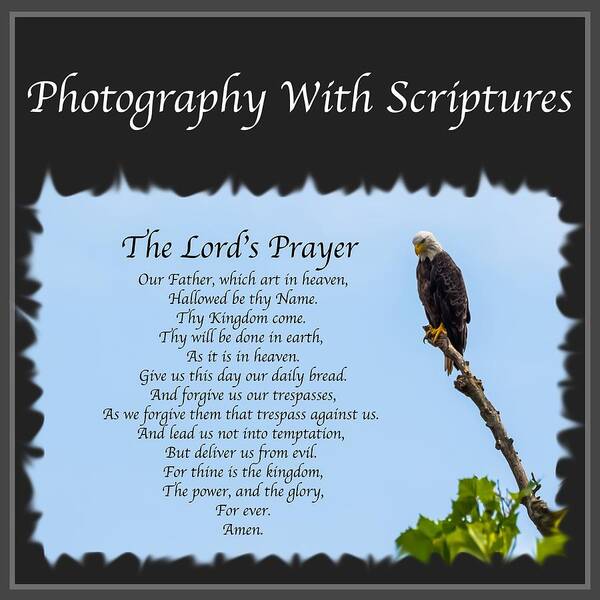 Scripture Art Print featuring the photograph Photography with Scriptures by Holden The Moment
